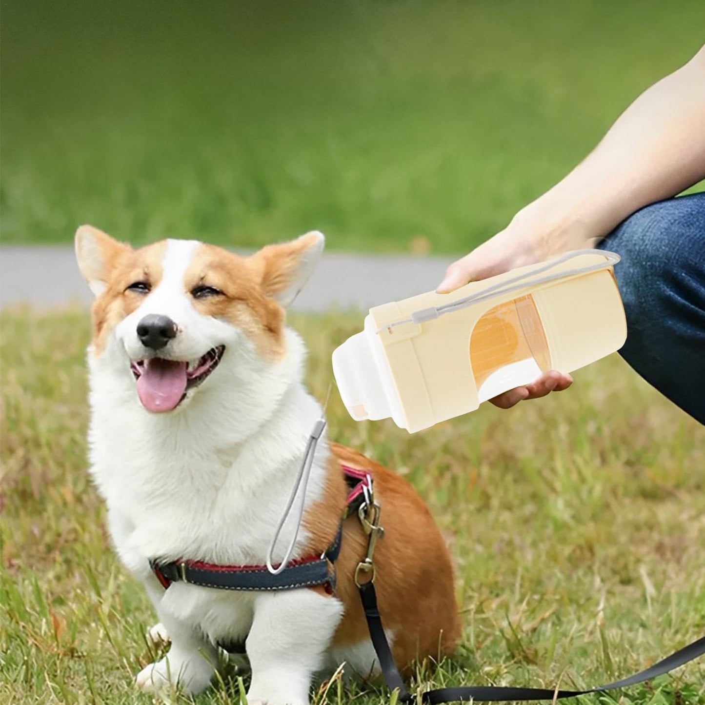 TrailPup™ Adventure Dog Water Bottle